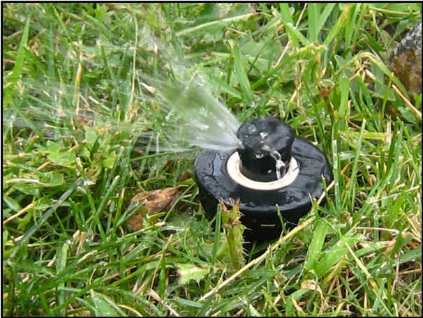 Irrigation Issues: Sunken Sprinkler Heads