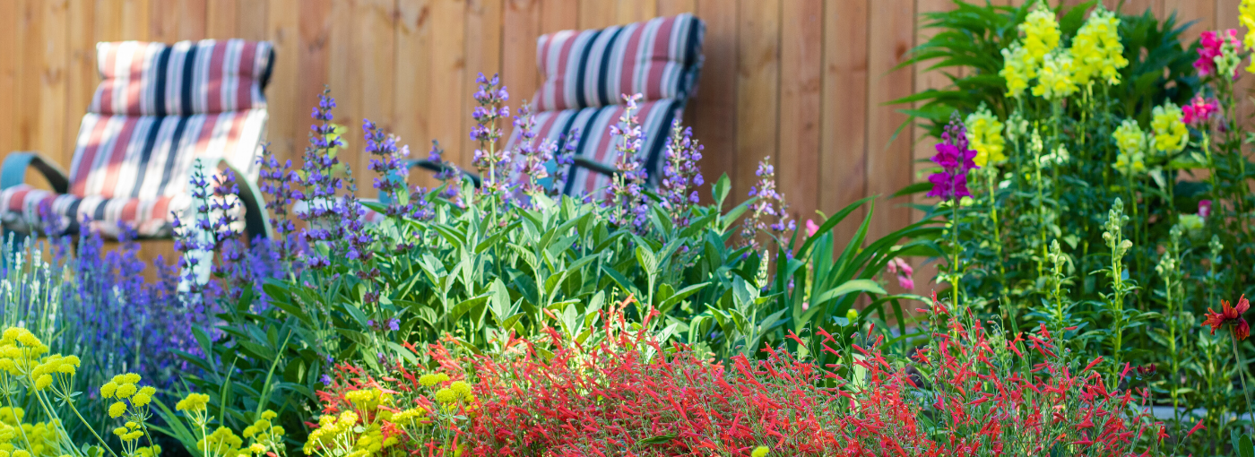 Blooming flowers with chairs