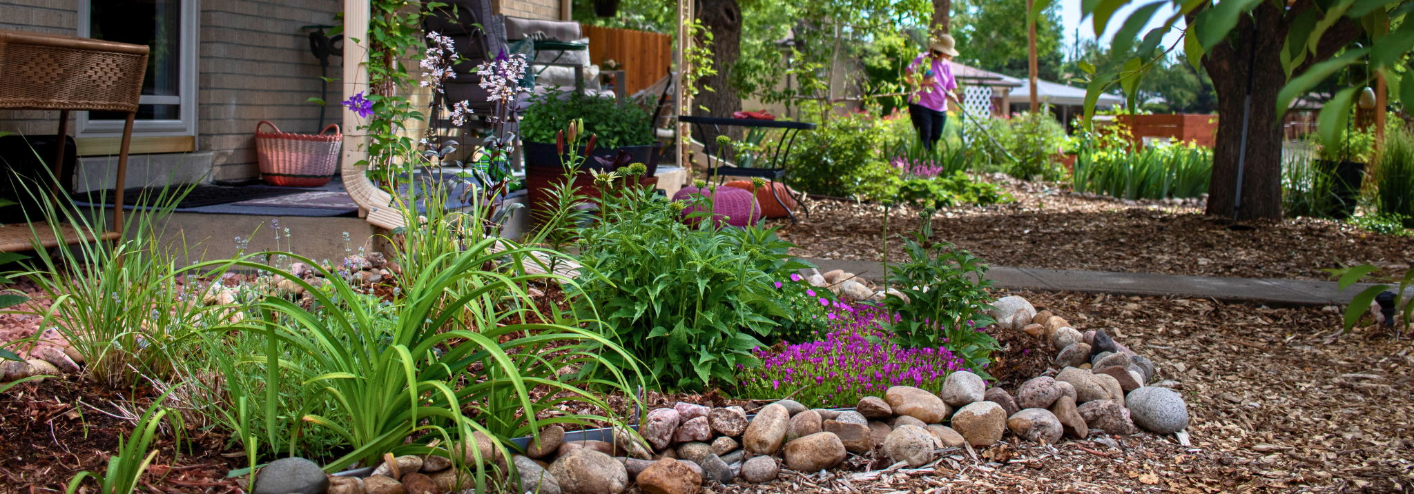 A beautiful photo of a waterwise yard with purple flowers after participating in the Lawn Replacement program
