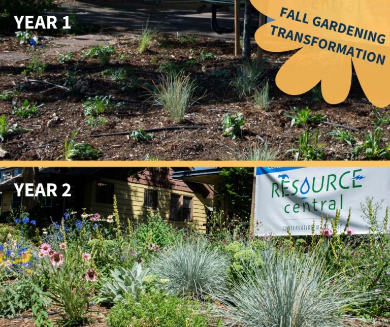 Garden In A Box Resource Central