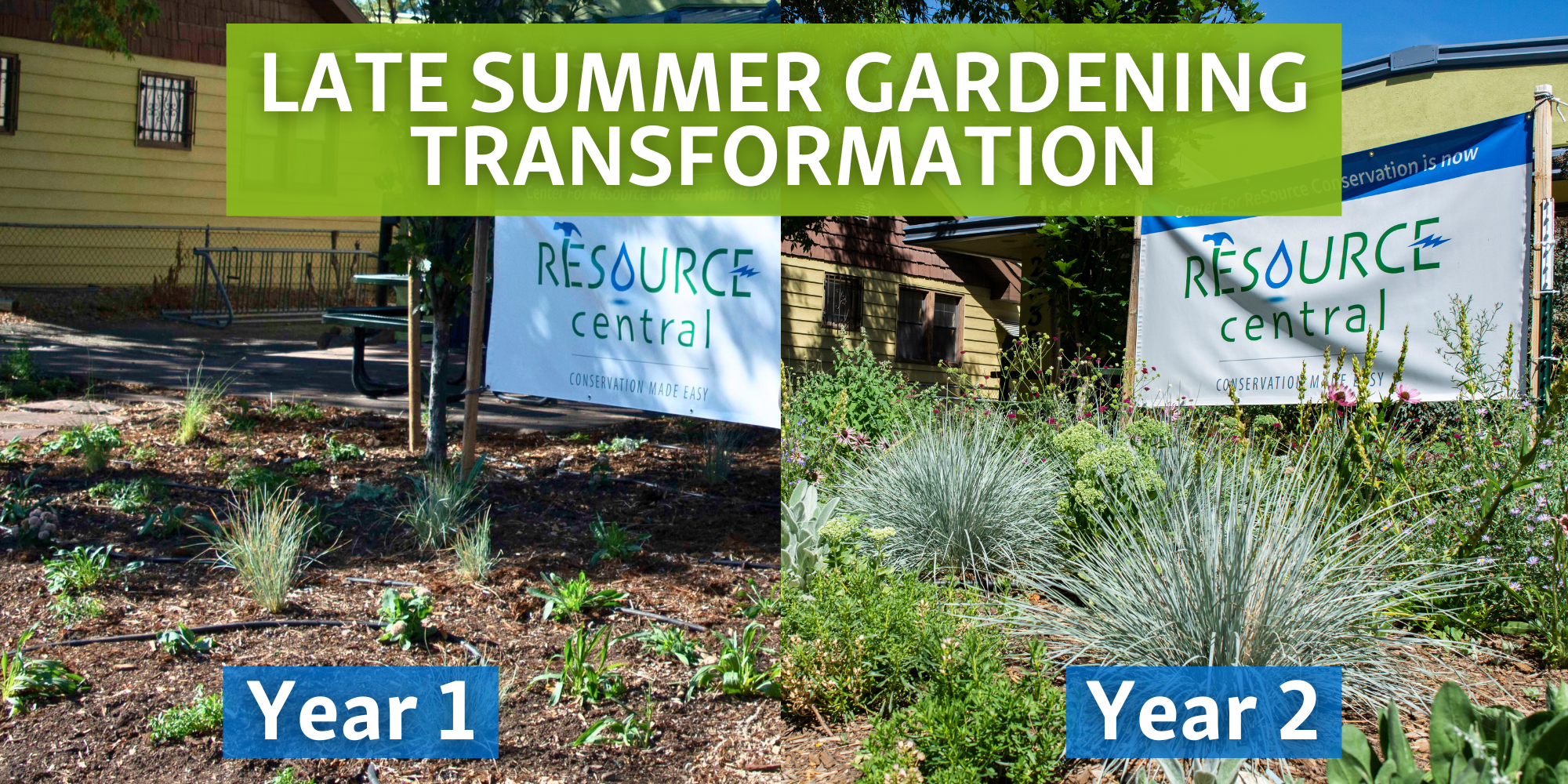 Progression picture showing a garden right after it was planted and 3 years later, with mature full plants