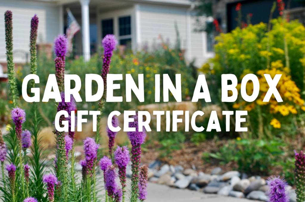 Gift Certificate - Resource Central