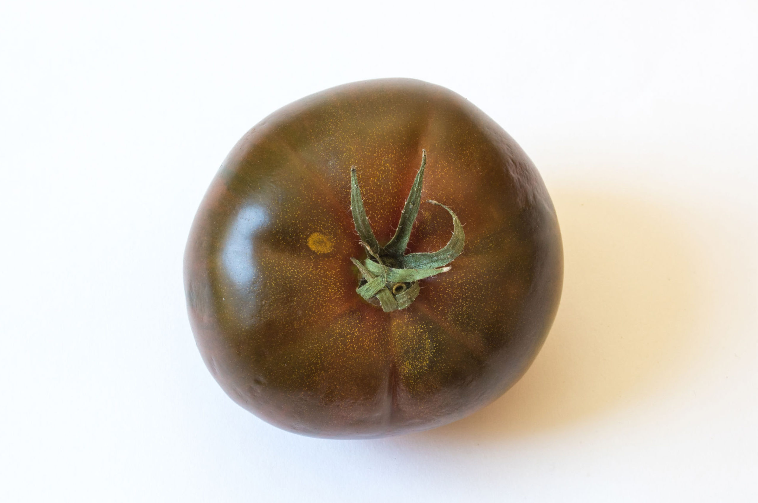 Cherokee Purple Tomato (Heirloom slicer)