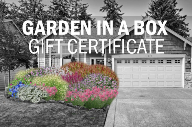 Garden in a Box Gift Certificate