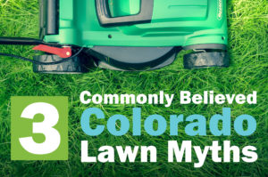 Text: 3 Commonly Believed Colorado Lawn Myths
