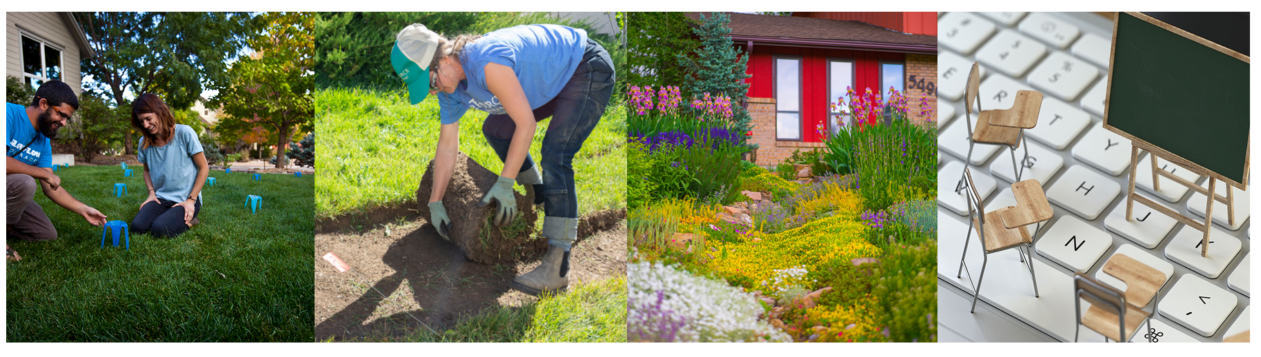 Slow the Flow, Lawn Replacement Program, Garden In A Box, and Waterwise Yard Seminars