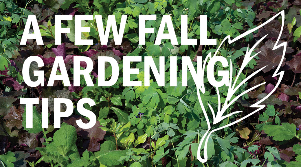 https://resourcecentral.org/wp-content/uploads/2021/09/a-few-fall-gardening-tips-.jpg