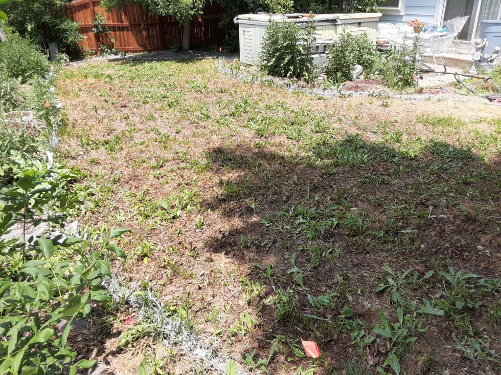 How to Remove Lawn Lawn Removal FAQs Resource Central