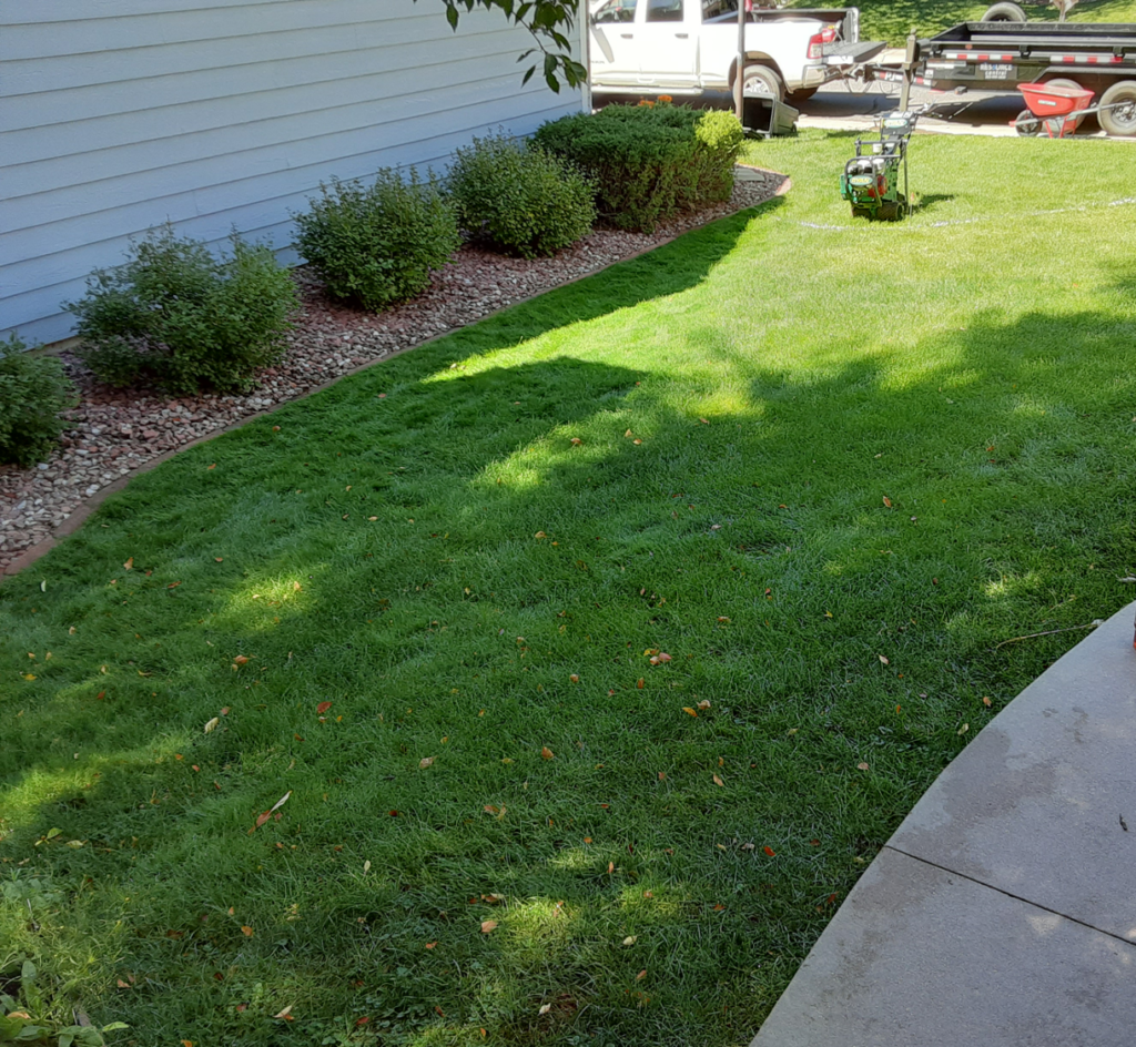How to Remove Lawn Lawn Removal FAQs Resource Central