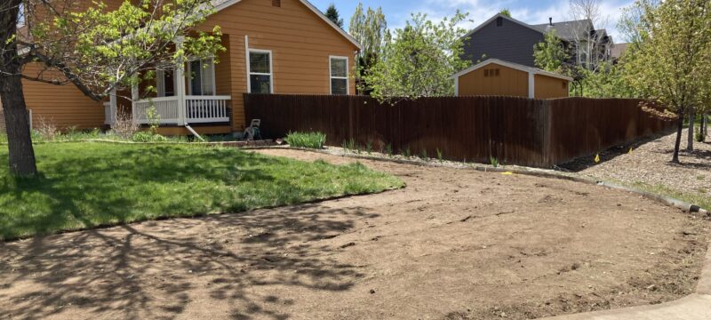 lawn and bare ground