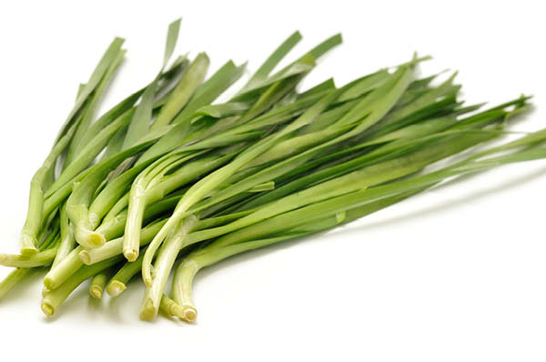 Garlic Chives