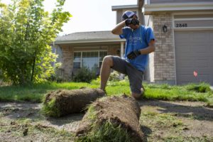 a worker removes rolls of sod