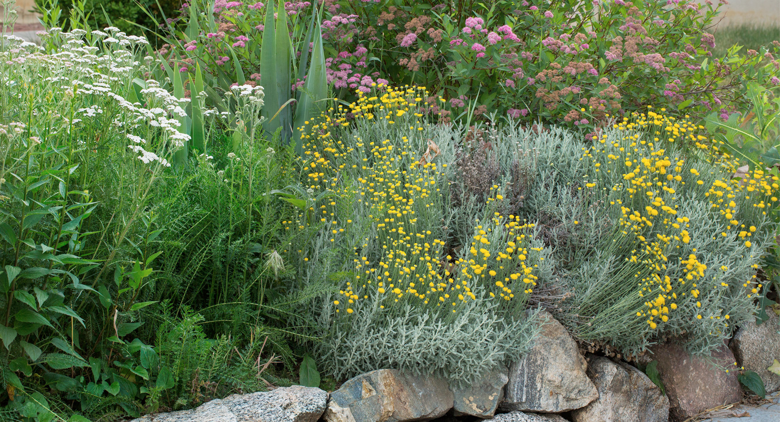 Garden In A Box spring collection