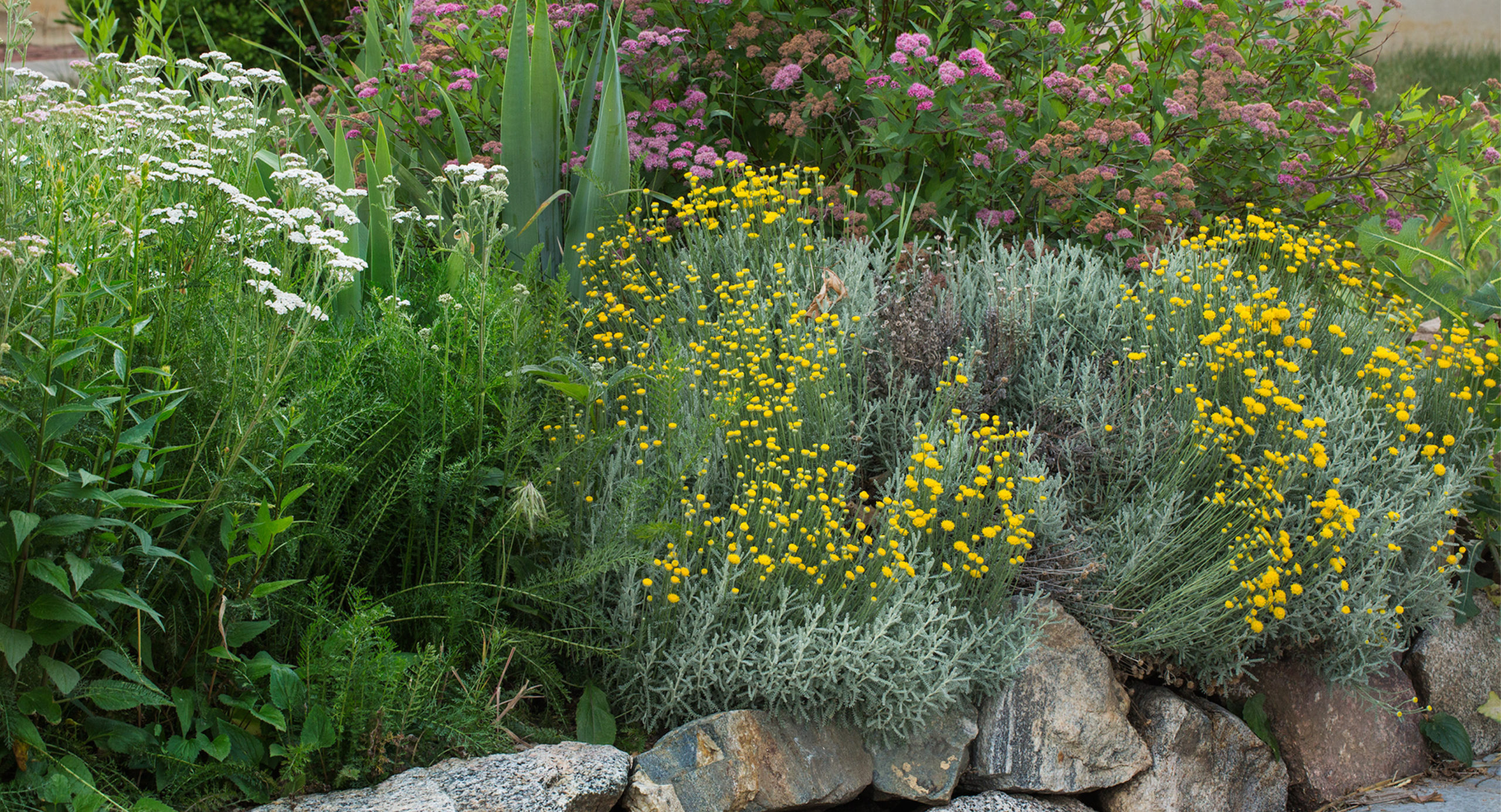 Garden In A Box spring collection