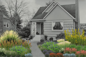Splendid Seasons garden image