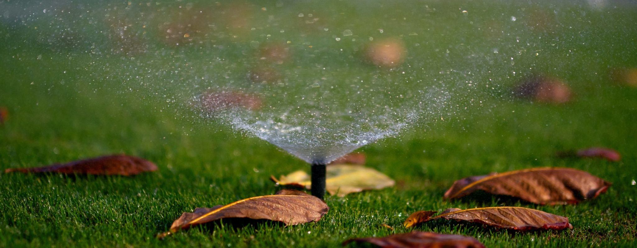 Types of Sprinkler Heads Resource Central
