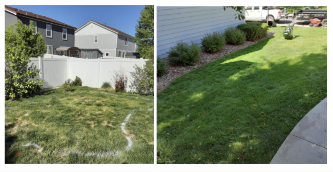 How to Remove Lawn Lawn Removal FAQs Resource Central