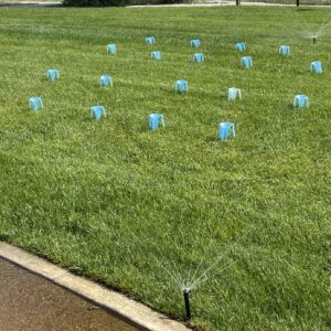 Blue catch cups spaced throughout a grassy yard with sprinklers watering the grass.