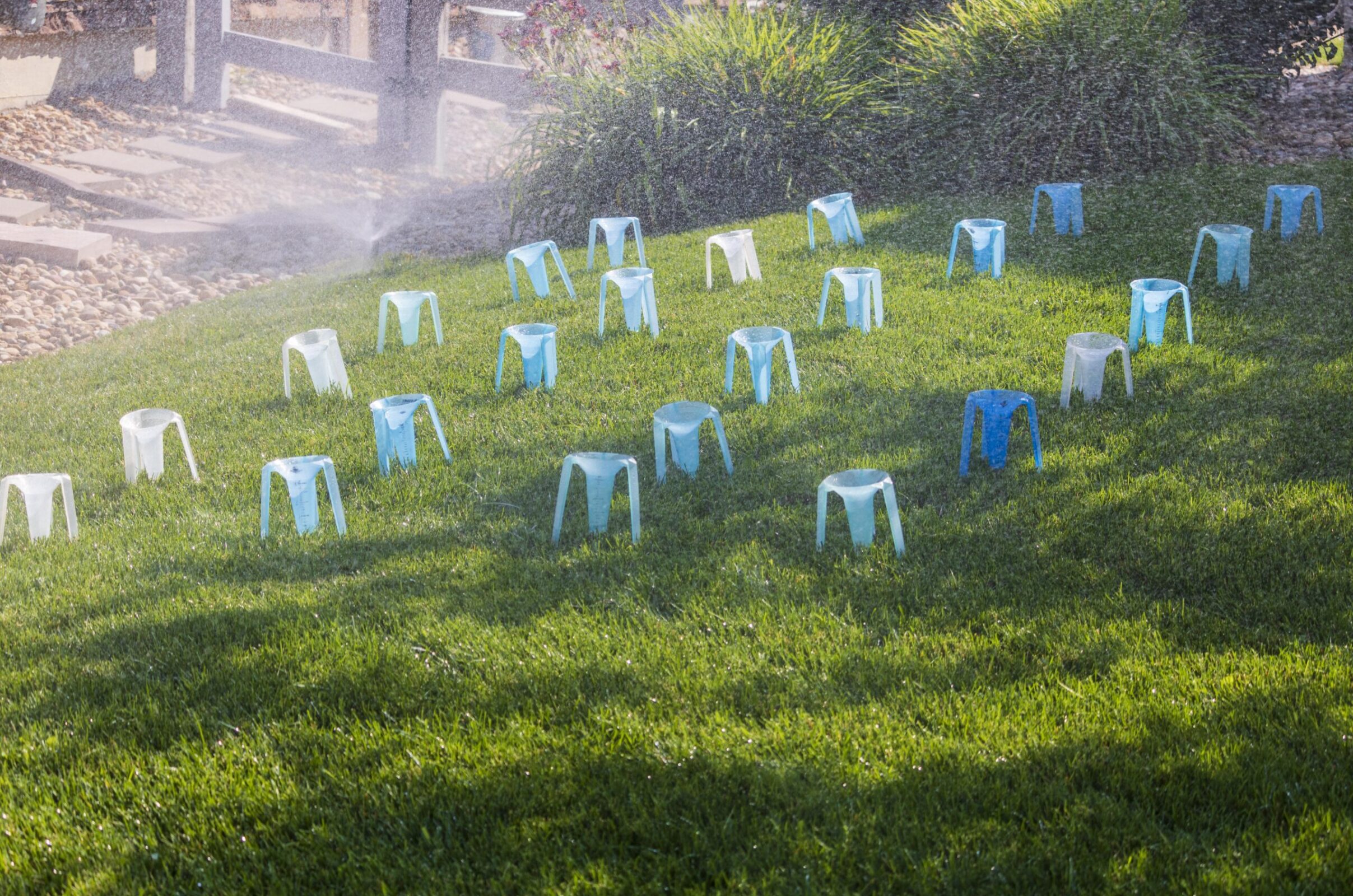 Sprinkler water falling into blue catch cups on lawn