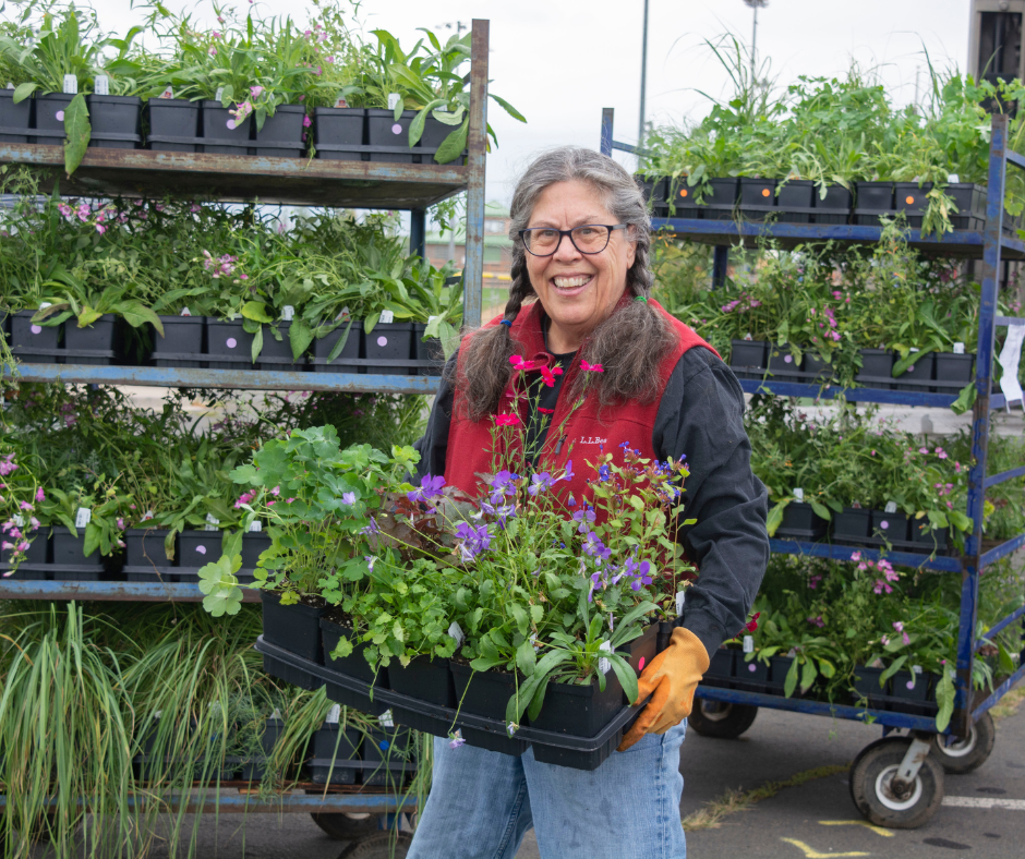 A woman smiles while holding a flat of plants, with lots of plants behind her.