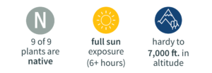 Grey and white Letter N icon with the text "9 of 9 plants are native" underneath, Yellow and white icon with the words "full sun exposure (6 plus hours of sun)" underneath, Navy and white icon with a mountain image with the text "hardy to 7,000 feet in altitude" underneath