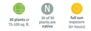 Green and white icon displaying garden bed dimensions with the text "30 plants or 75-100 sq ft" underneath, Grey and white Letter N icon with the text "30 of 30 plants are native" underneath, Yellow and white icon with the words "full sun exposure (6 plus hours of sun)" underneath