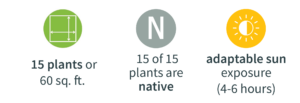 Green and white icon displaying garden bed dimensions with the text "15 plants 60 sq ft" underneath, Grey and white Letter N icon with the text "15 of 15 plants are native" underneath, Yellow and white icon with the words "adaptable sun exposure (4-6 hours of sun)" underneath