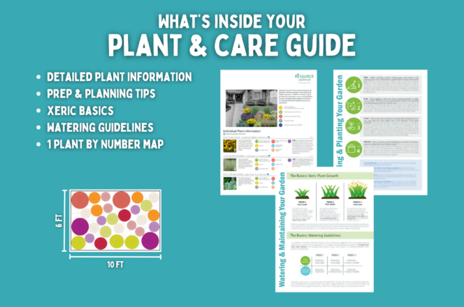 Graphic titled "What's inside your Plant and Care Guide?" showing images of a Garden In A Box info sheet, a Plant and Care Guide, and a sample planting map with the text "Detailed planting information, prep and planning tips, xeric basics, watering guidelines, and 1 plant by number map"