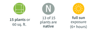 Green and white icon displaying garden bed dimensions with the text "15 plants or 60 sq ft" underneath, Grey and white Letter N icon with the text "13 of 15 plants are native" underneath, Yellow and white sun icon with the words "full sun exposure (6 plus hours of sun)" underneath