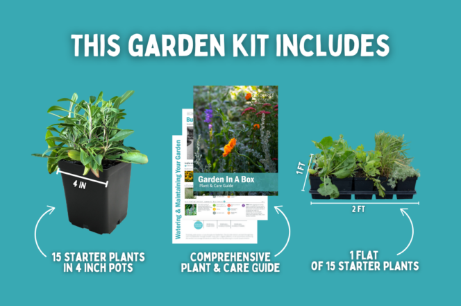 Graphic titled "This Garden Kit Includes" showing a plant in a pot captioned "15 starter plants in 4 inch pots", an image captioned "Comprehensive Plant and Care Guide", and an image of gardens at pickup captioned "1 flat of 15 starter plants"