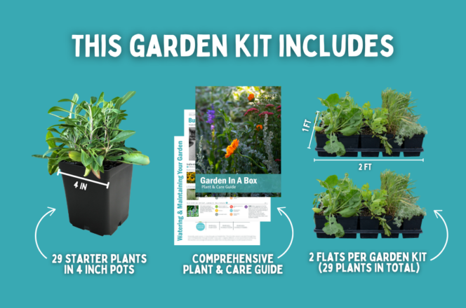 Graphic titled "This Garden Kit Includes" showing a plant in a pot captioned "29 starter plants in 4 inch pots", an image captioned "Comprehensive Plant and Care Guide", and an image of gardens at pickup captioned "2 flats per garden kit (29 plants in total)"