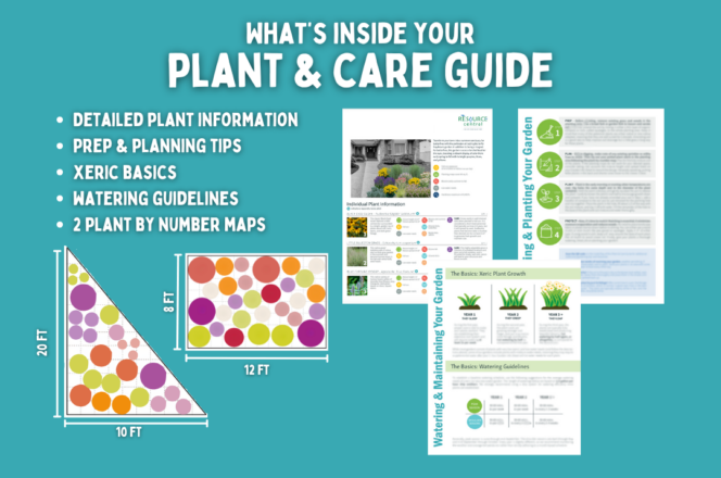 Graphic titled "What's inside your Plant and Care Guide?" showing images of a Garden In A Box info sheet, a Plant and Care Guide, and sample planting maps with the text "Detailed planting information, prep and planning tips, xeric basics, watering guidelines, and 2 plant by number maps"