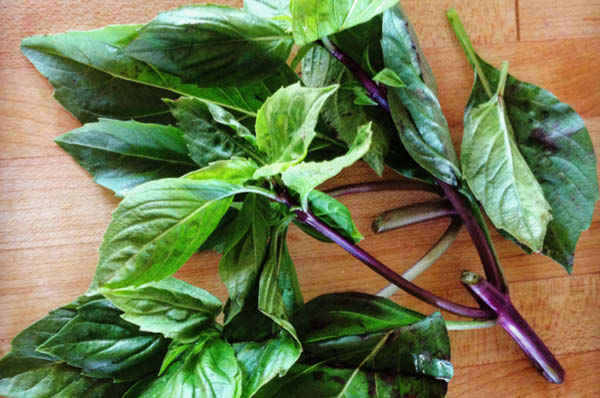 Thai Basil