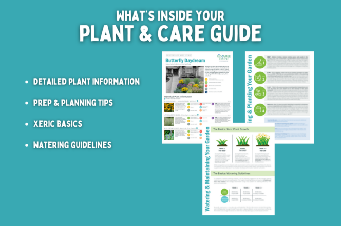 Graphic titled "What's inside your Plant and Care Guide?" showing images of a Garden In A Box info sheet and a Plant and Care Guide with the text "Detailed planting information, prep and planning tips, xeric basics, and watering guidelines"