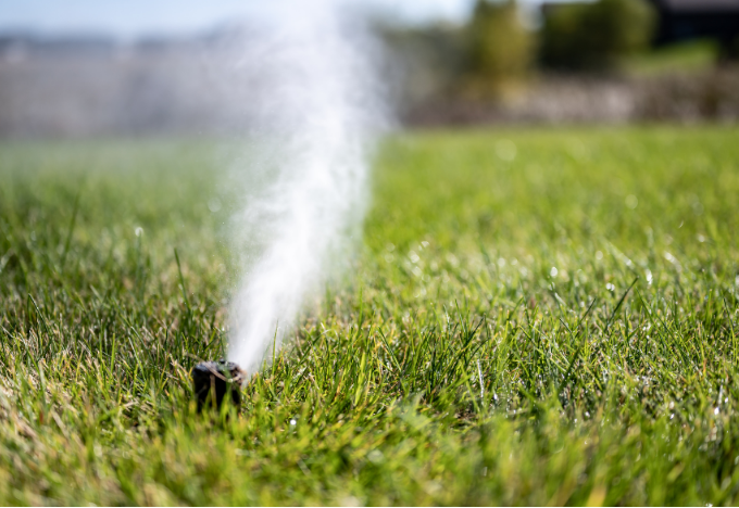 A rotor sprinkler head spraying water at a high pressure