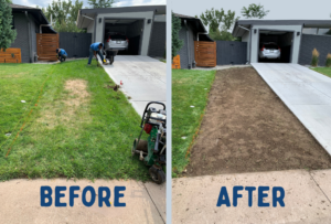 Before & After photos of turf grass being removed by Lawn Replacement program staff.