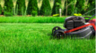 A lawn mower on a freshly mowed patch of grass with manicured shrubs in the background