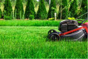 A lawn mower on a freshly mowed patch of grass with manicured shrubs in the background