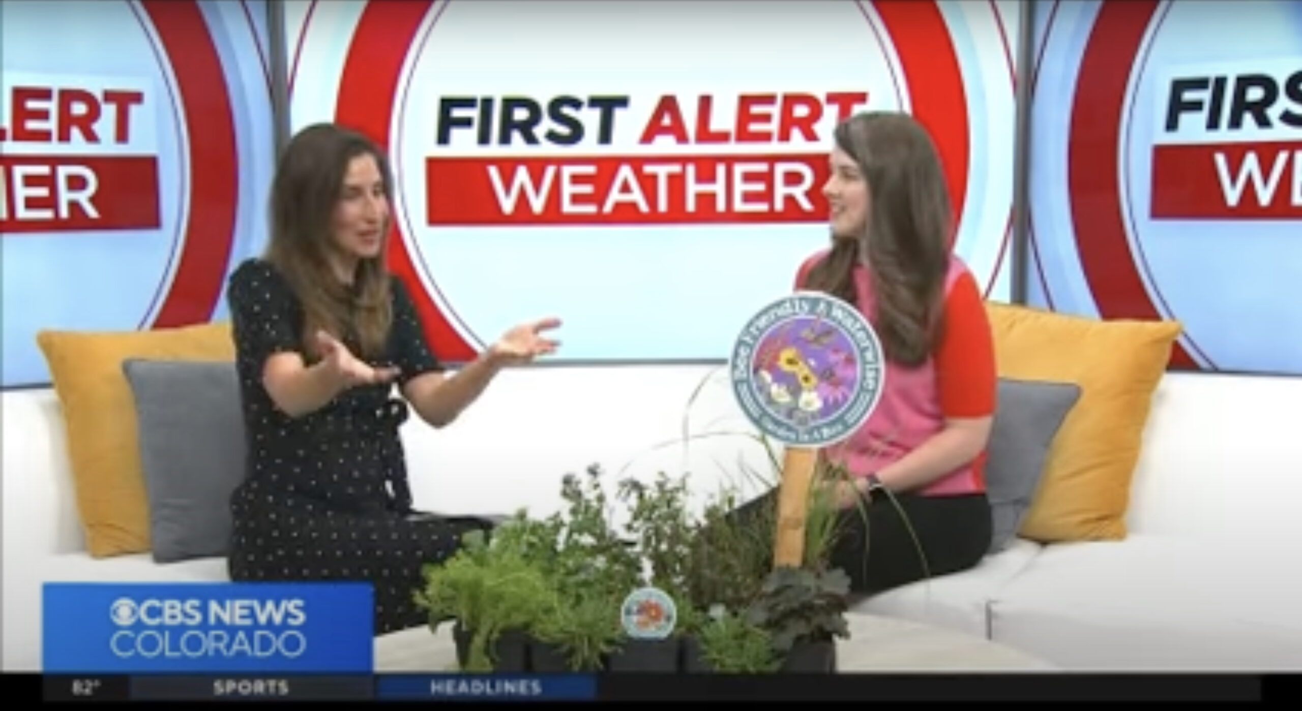 CBS Denver anchor Callie Zanandrie speaking with Resource Central Marketing Director Rachel Staats, in the news studio sitting on a white couch next to a Garden In A Box sign and starter plants.