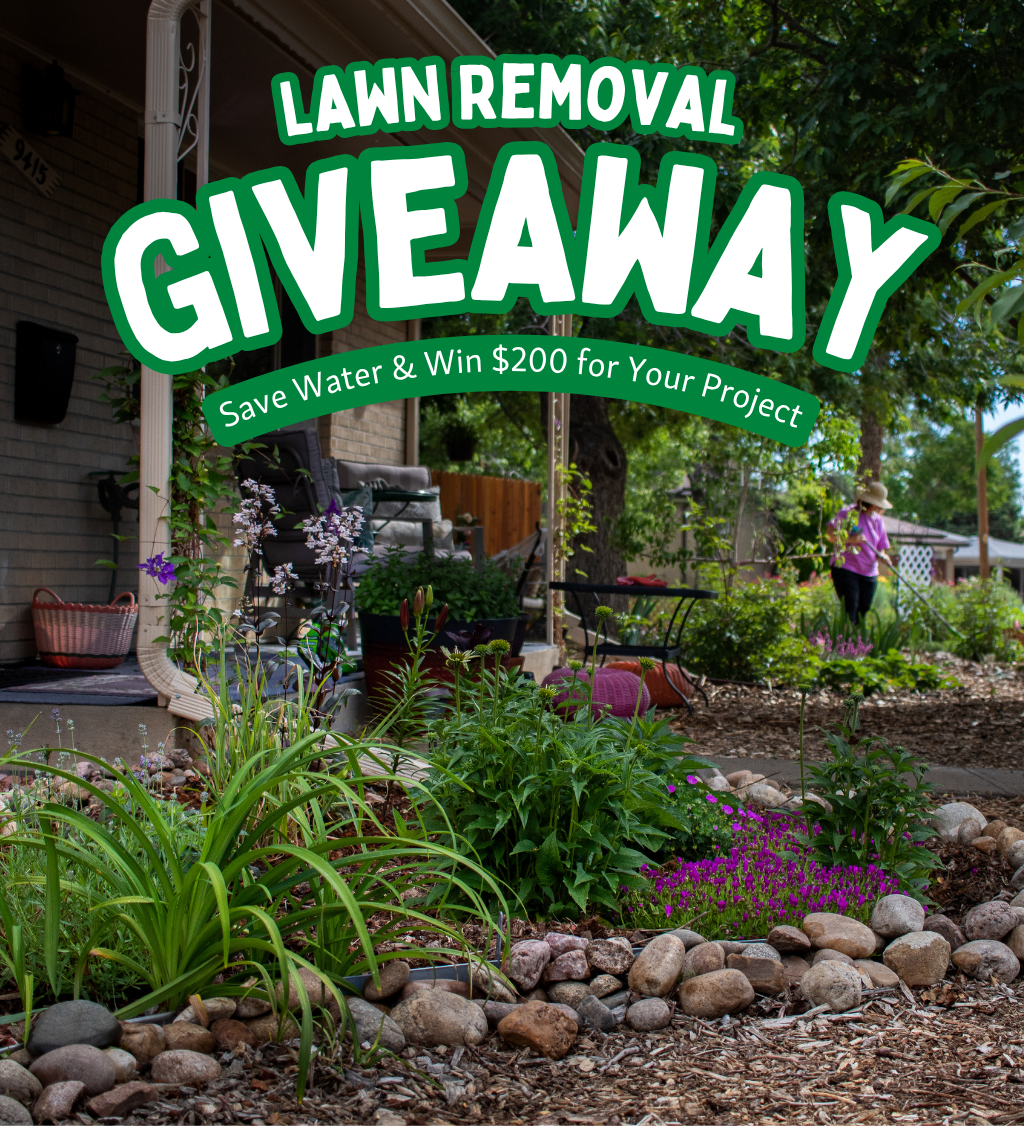 Image of a waterwise yard with the headline "Lawn Removal Giveaway: Save Water and Get $200 for Your Project"