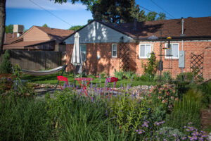 waterwise front yard