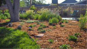 Xeriscaped yard next to turf grass and a patio with chairs