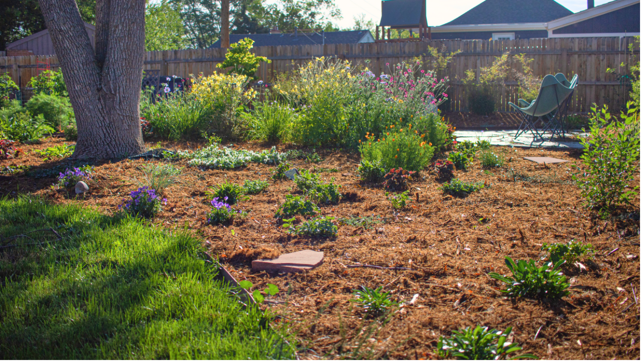 Xeriscaped yard next to turf grass and a patio with chairs