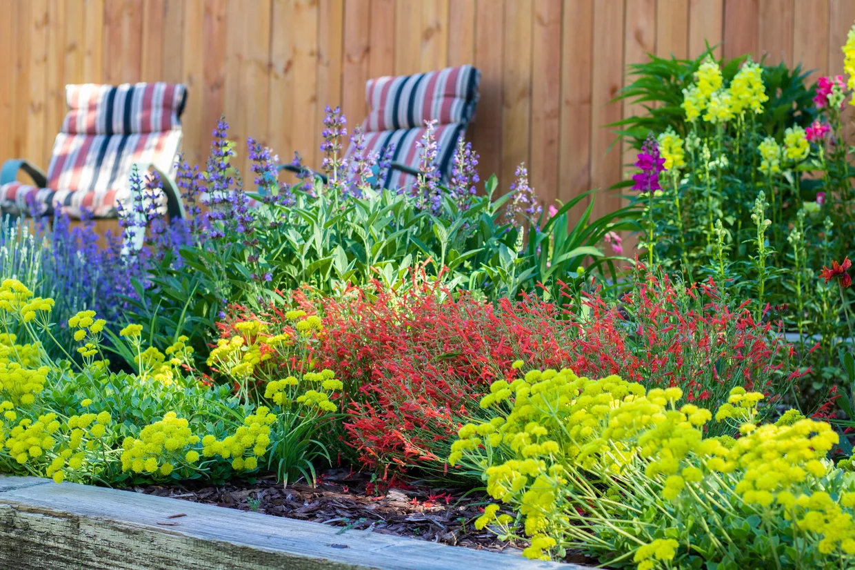 Colorful plants from a Garden In A Box kit next to lawn chairs and a brown fence.