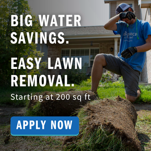 Lawn Replacement: Big water savings. Easy lawn removal. Starting at 200sqft. Apply now