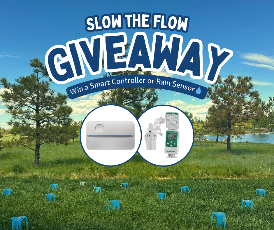 A photo of a blue sky, pine trees, with small blue water catch cups on green grass. There is text over the photo that reads: Slow the Flow Giveaway with an inset image of a Rachio controller and a Rain Bird sensor. 