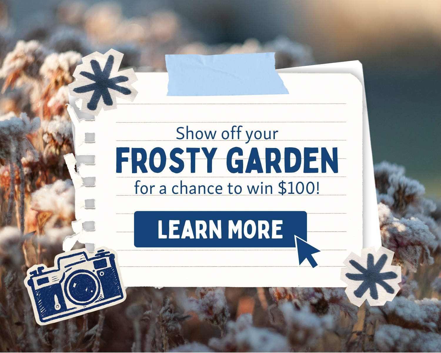 Show off your frosty garden for a chance to win $100! Click to learn more