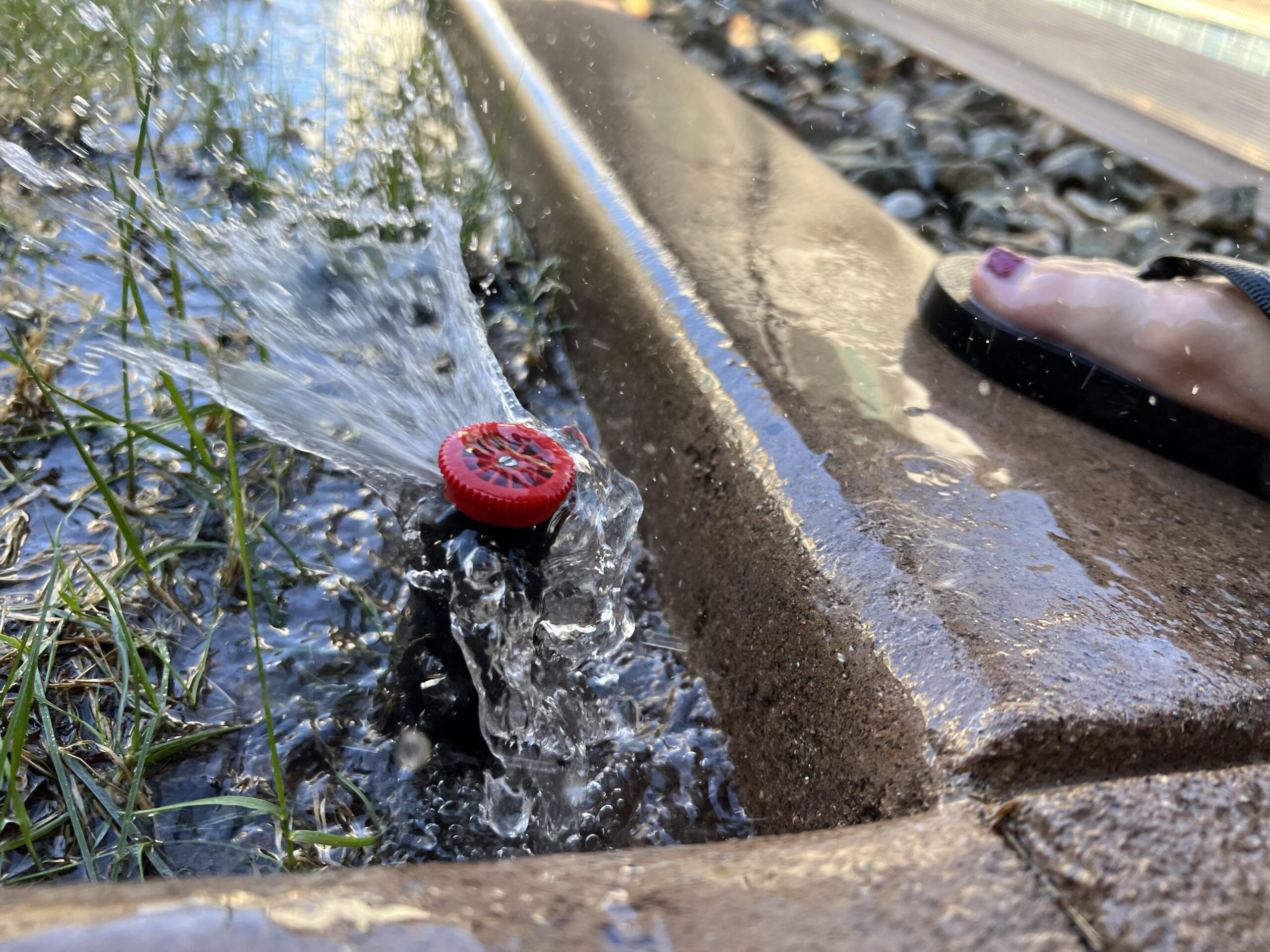 Water pooling around a sprinkler head due to a leak.