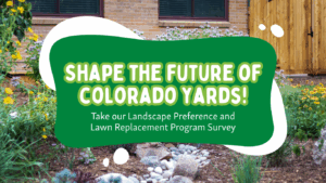 A photo of a waterwise garden with yellow and purple flowers, brown wood mulch, and small grey rocks in front of a brick building and wood fence. There is a text overlay in shades of green that reads "Shape the Future of Colorado Yards! Take our Landscape Preference Lawn Replacement Program Survey" in white text.