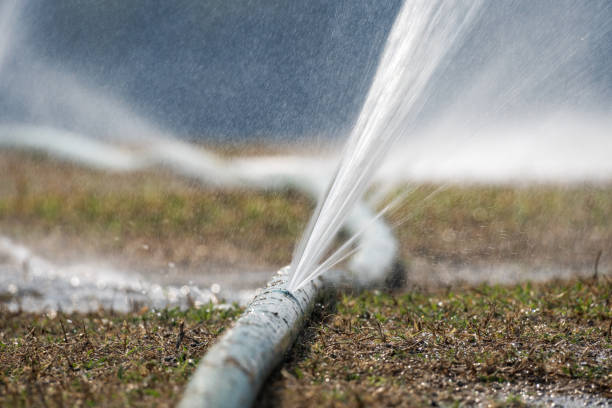 Water Leaking out of a sprinkler